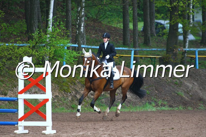 005L4838_Lando_Spring  Ax.JPG